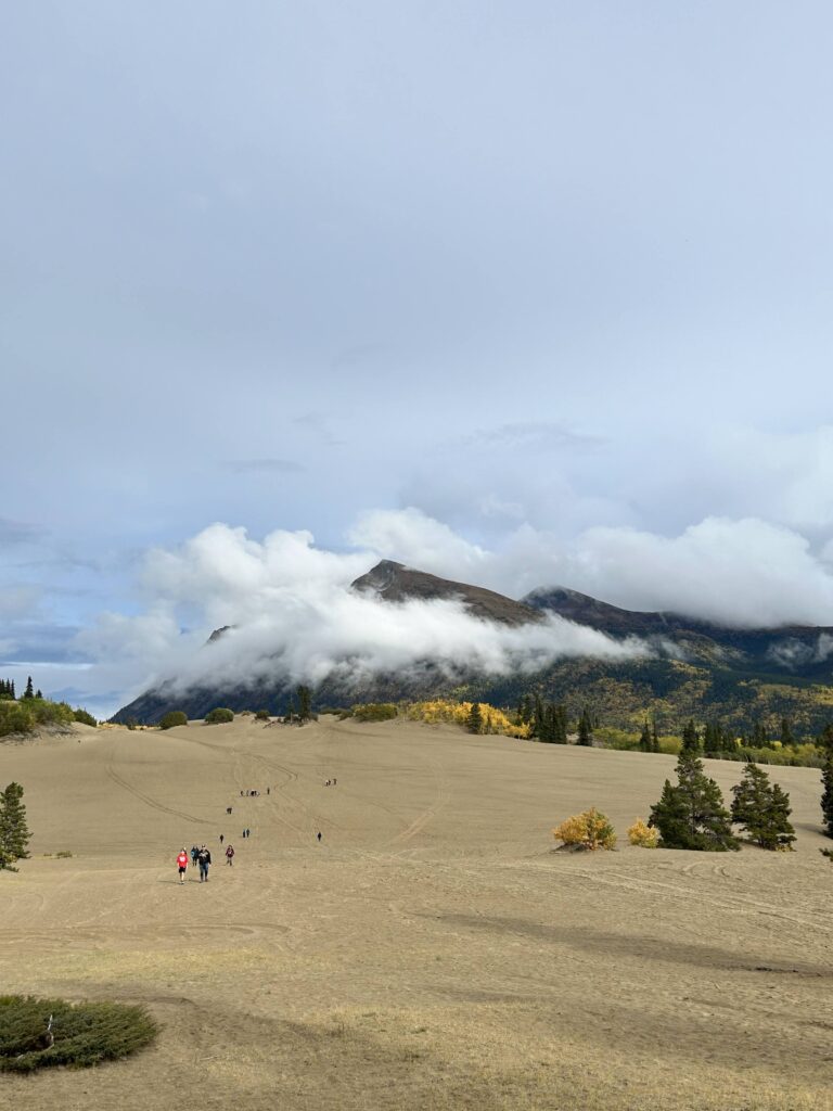 Carcross Dessert